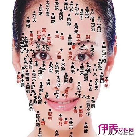 女人面相痣圖解